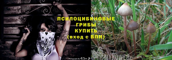 соль ск Навашино