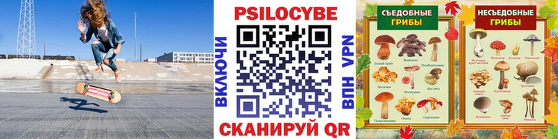 Псилоцибиновые грибы мицелий  Монино 